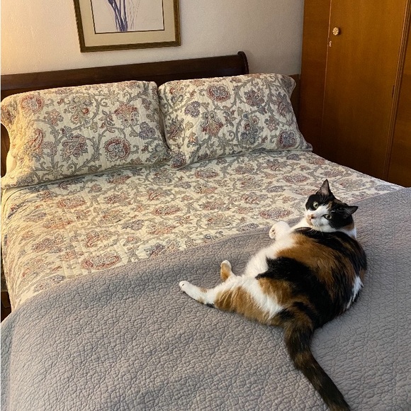 SMOKE FREE, PET FRIENDLY💞🤗😻Plz Read♥️ - Picture 5 of 10